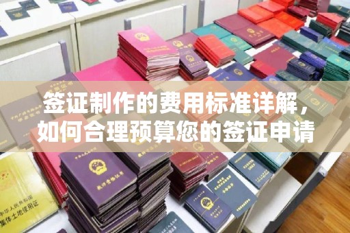 康乐签证制作的费用标准详解，如何合理预算您的签证申请成本